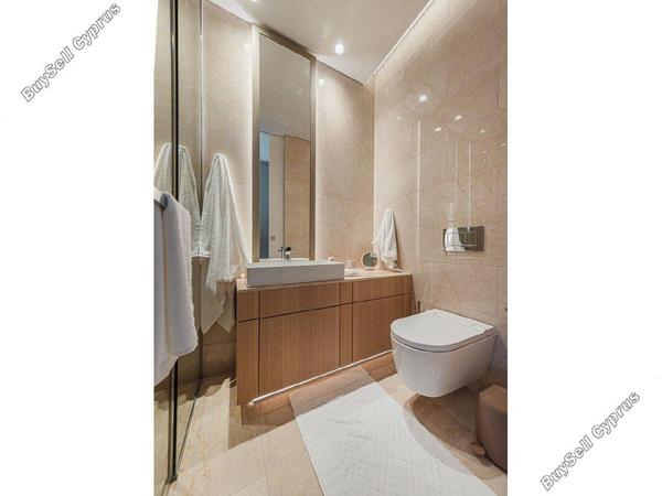 1 bedroom apartment for rent mouttagiaka limassol 1598087 image 16333995