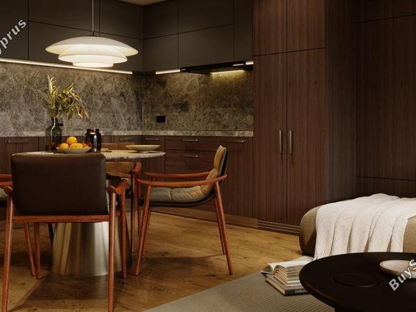 2 bedroom penthouse for sale livadia larnacas larnaca 8146087 image 14957111