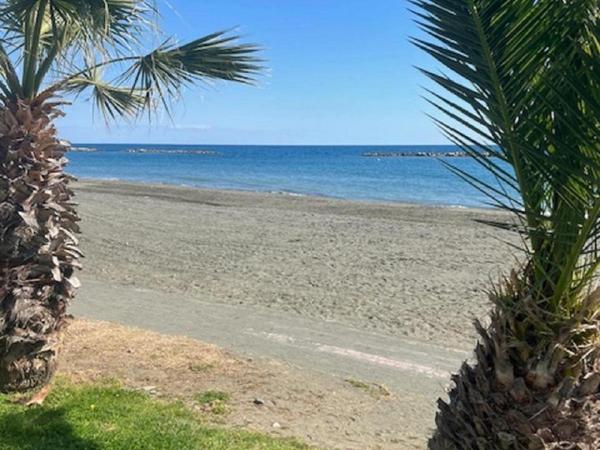 3 bedroom apartment for rent agios tychonas limassol 7653087 image 14082399