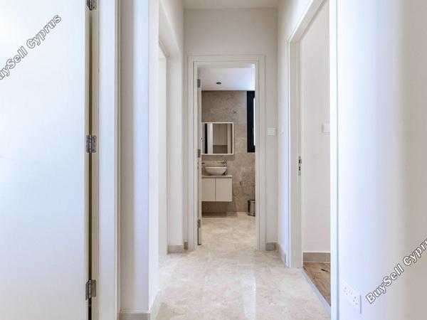 3 bedroom detached house for sale emba paphos 8238087 image 14242915