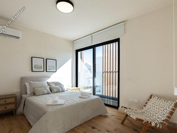 3 bedroom detached house for sale emba paphos 8238087 image 14242918