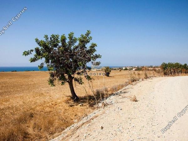 land for sale agios theodoros larnacas larnaca 1196087 image 5589233