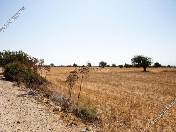 land for sale agios theodoros larnacas larnaca 1196087 image 5589238