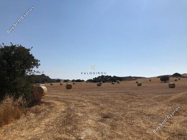 land for sale alaminos larnaca 1195087 image 5575418