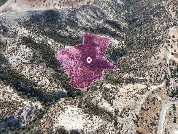 land for sale pissouri limassol 8473087 image 15215586