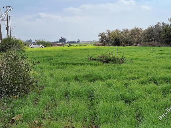 land for sale avgorou famagusta 7543187 image 9479802
