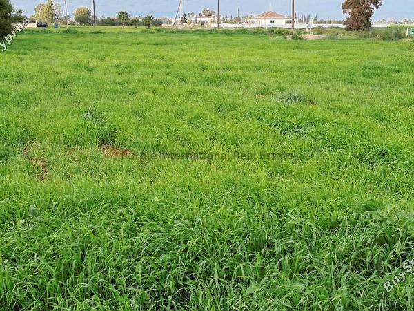 land for sale avgorou famagusta 7543187 image 9479804