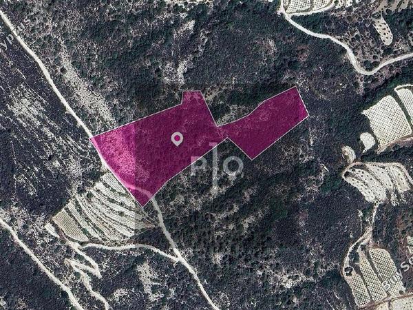 land for sale kapileio limassol 8275187 image 15158168