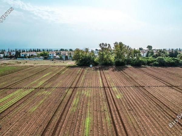 land for sale pervolia larnaca 958187 image 5607535