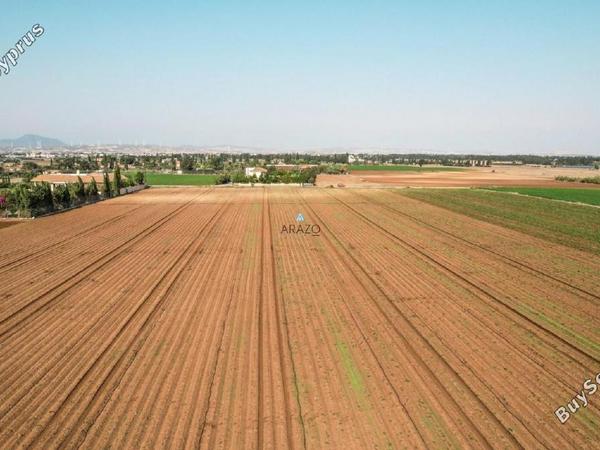 land for sale pervolia larnaca 958187 image 5607543