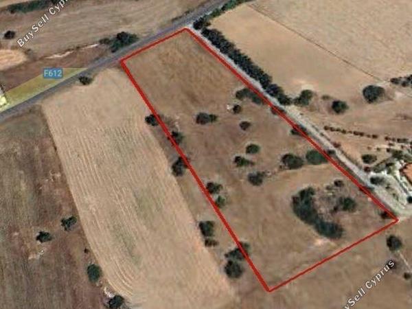 plot for sale kouklia pafou paphos 1681287 image 4374369