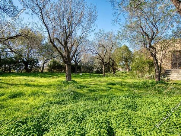4 bedroom bungalow for sale mesogi paphos 7735387 image 11711424