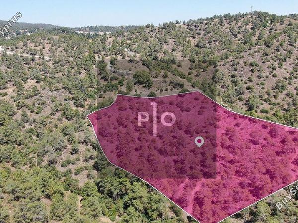 land for sale kapedes nicosia 8275387 image 15159484