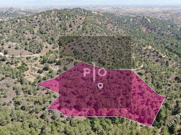 land for sale kapedes nicosia 8275387 image 15159487