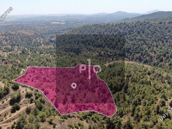 land for sale kapedes nicosia 8275387 image 15159490