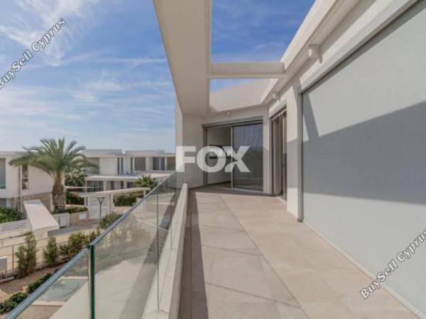 3 bedroom detached house for sale coral bay paphos 7816587 image 10654792