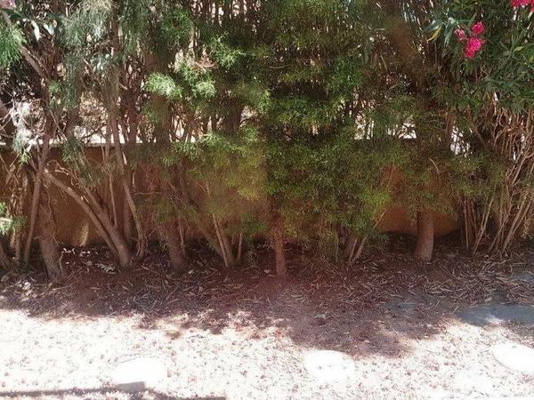 4 bedroom detached house for sale kalogiroi limassol 1896587 image 12717749