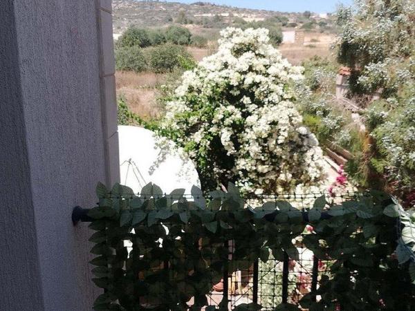 4 bedroom detached house for sale kalogiroi limassol 1896587 image 12717810