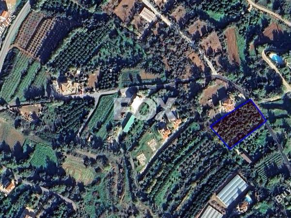 land for sale pomos paphos 1929587 image 14831223