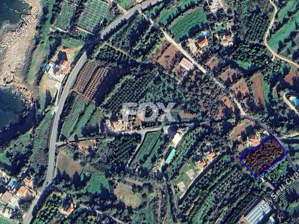 land for sale pomos paphos 1929587 image 14831224