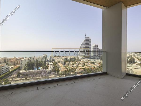 1 bedroom apartment for rent potamos germasogeias limassol 8645687 image 16339822