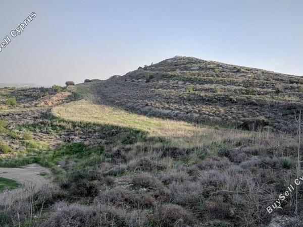 land for sale avdellero larnaca 830687 image 2346715