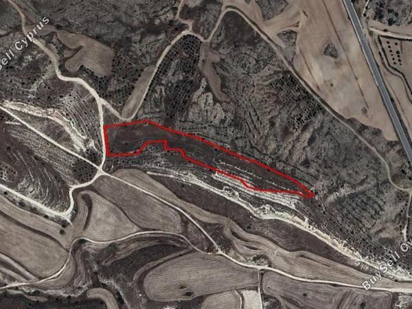 land for sale avdellero larnaca 830687 image 2346716