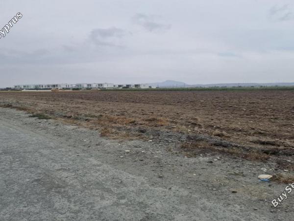 plot for sale pervolia larnaca 1786687 image 16192069