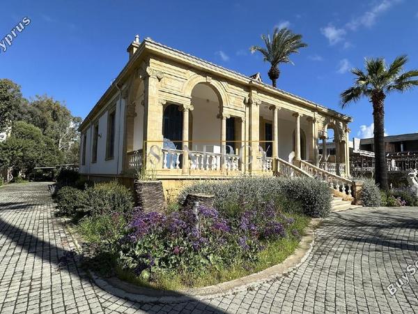 studio commercial building for rent nicosia municipality nicosia 8463687 image 17529889
