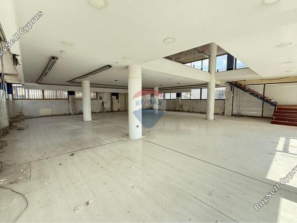 studio showroom for rent apostolos andreas limassol limassol 8355687 image 14466346