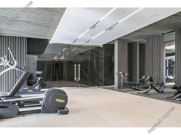 2 bedroom apartment for rent potamos germasogeias limassol 1610787 image 5481282