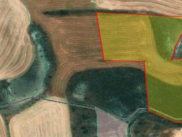 land for sale pera chorio nisou nicosia 1081787 image 16251784