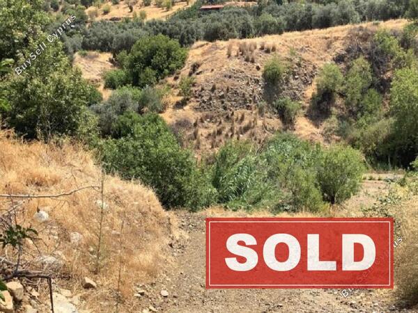 land sold agios theodoros soleas nicosia 945787 image 847792