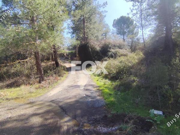 2 bedroom detached house for sale mandria lemesou limassol 8306887 image 14560348
