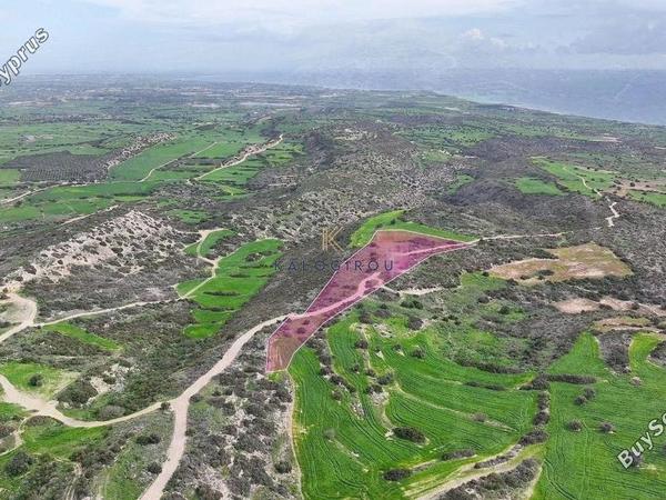 land for sale agios theodoros larnacas larnaca 8286887 image 14031342