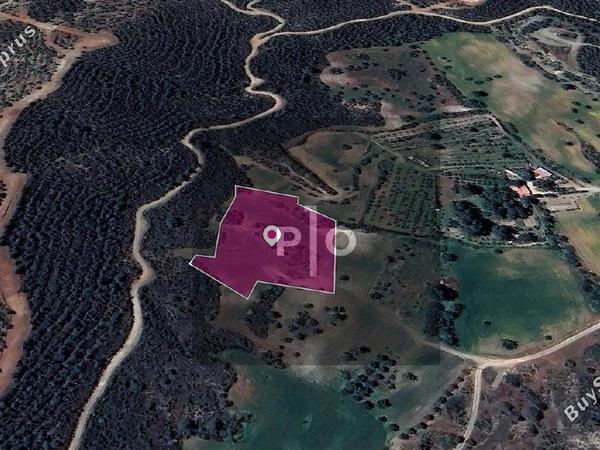 land for sale kofinou larnaca 8274887 image 15156084
