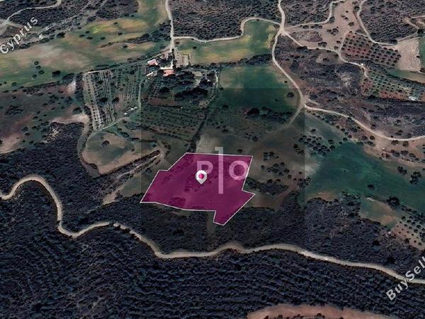 land for sale kofinou larnaca 8274887 image 15156086