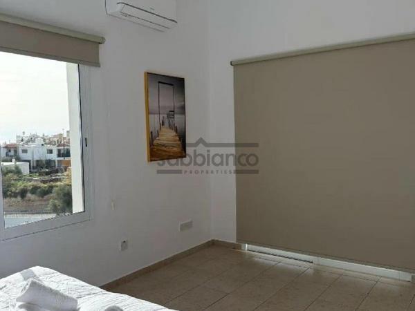 3 bedroom detached house for sale peyia paphos 8738987 image 16366141