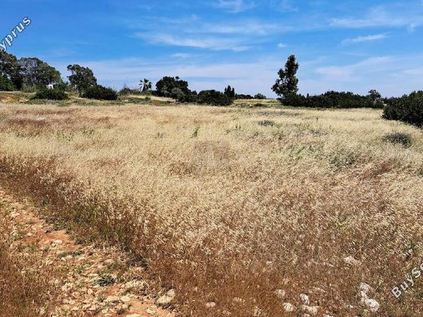 land for sale ayia napa famagusta 1431987 image 5297382
