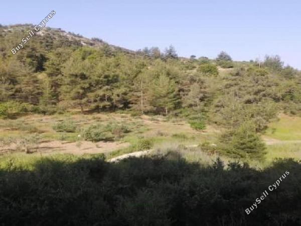 land for sale panagia paphos 8531987 image 16277389