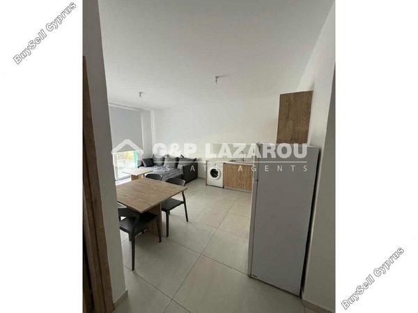1 bedroom apartment for rent aglantzia nicosia 7838097 image 16334739