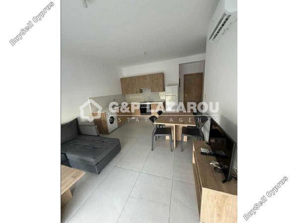 1 bedroom apartment for rent aglantzia nicosia 7838097 image 16334740