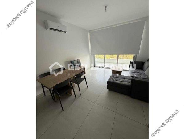 1 bedroom apartment for rent aglantzia nicosia 7838097 image 16334742