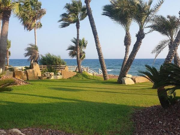 4 bedroom detached house for sale kiti larnaca 7906097 image 16533133