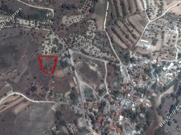 land for sale choulou paphos 8630097 image 15871552