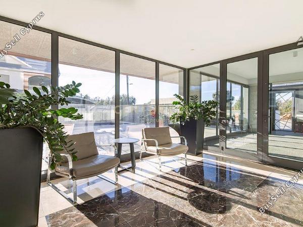 1 bedroom apartment for rent ekali limassol 1785197 image 16335326