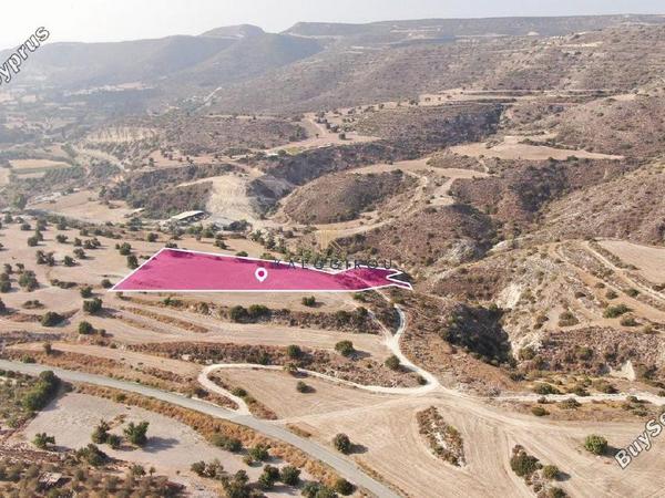 land for sale agios theodoros larnacas larnaca 1650197 image 5666594