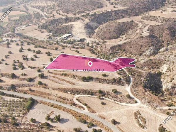 land for sale agios theodoros larnacas larnaca 1650197 image 5666597