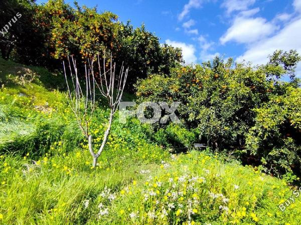 land for sale dierona limassol 7495197 image 9319935