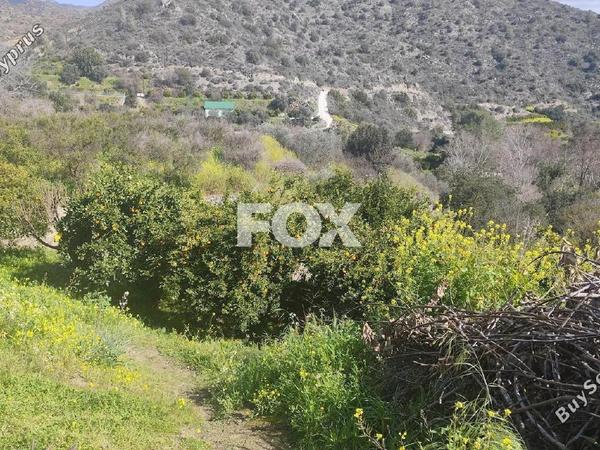 land for sale dierona limassol 7495197 image 9319936